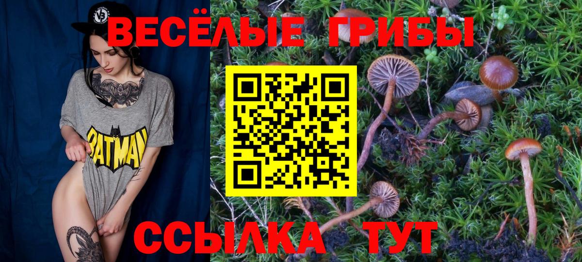 даркнет сайт  Галлюциногенные грибы MAGIC MUSHROOMS  Вход с VPN  Мыски 